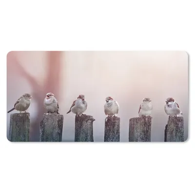 Produktbild von MuchoWow® Mauspad Mousepad Vögel - Spatzen - Pfähle - Holz 60x30 cm - Mousepads - Maus Mat - Pad - Mausunterlage - Nachhaltig