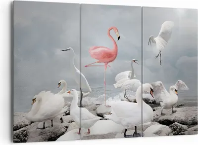 Produktbild von Bild auf Leinwand - Leinwandbild - 3 Teile - Flamingo Schwan Fantasie - 165x110cm - Wand Bild - Wanddeko - Wandbilder - Leinwanddruck - Bilder - Wanddekoration - Leinwand bilder - CE165x110-4929