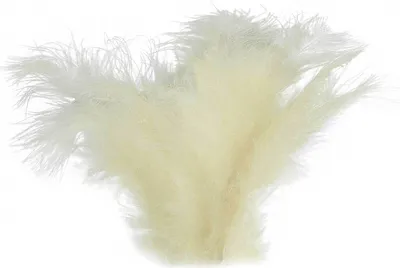 Produktbild von 15-20 Flaumfedern 09-17cm gefärbt Bastelfedern Schmuckfedern Feder Farbwahl, Größe:09 - 17 cm, Farbe:35 hellbeige