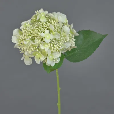 Produktbild von artplants.de Künstliche Hortensie CALESA, weiß, 50cm - Kunstblume Hortensie