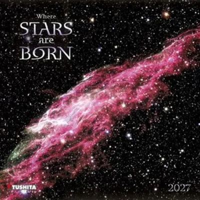 Produktbild von Wandkalender Where Stars are Born 2027, 30x30 cm, 16 Monate, internationale Feiertage