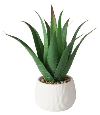 Produktbild von Künstliche Aloe-Pflanze im Blumentopf MONDRAGO, 29 cm