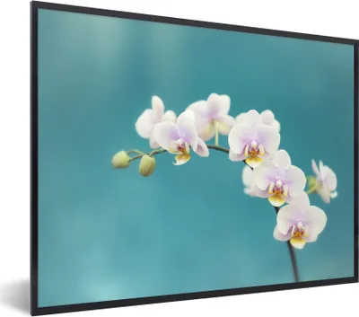 Produktbild von MuchoWow® Gerahmtes Poster Orchidee - Blumen - Pflanze - Weiß - Lila 80x60 cm - Poster mit Schwarzem Bilderrahmen Wandposter Rahmen Foto Bilder - Schwarzem - Mit Gestell