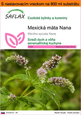 Obrázok produktu pre SAFLAX Garden in the bag - Mexická mäta Nana - Mentha spicata Nane - 500 Semená - S pestovateľským substrátom v praktickom samostaviteľnom vrecku