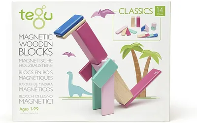 Produktbild von TEGU Magnetic Wooden Blocks, 1 Jahr(e), 14 Stück(e), Holz