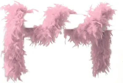 Produktbild von Max Bersinger 822-50-803, Karnevalskostüm-Federn, Erwachsener, Weiblich, Pink, 1800 mm, 65 g