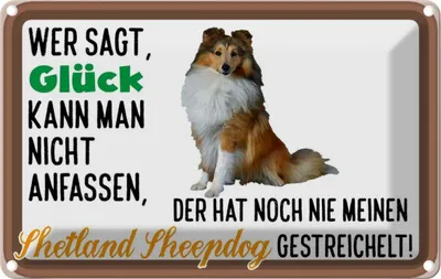 Produktbild von vianmo Blechschild 20x30 cm Glück Shetland Sheepdog Hund Tier Haustier