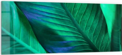 Produktbild von DEQORI Küchenrückwand Glas 125x50 cm 'Tropenblattstruktur' Spritzschutz Bad Rückwand