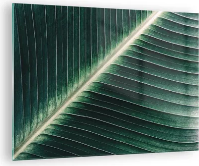 Produktbild von Bilder auf glas - Einteilig - Grün Blatt Tropisch - 70x50cm - Glasbilder - Wandbilder - Bilder - zum Aufhängen bereit - Wanddekoration aus Glas - Glas Bilder - Wandbild auf Glas - GAA70x50-4126