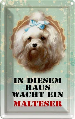 Produktbild von vianmo Blechschild 18x12 cm Hund in diesem Haus wacht Malteser Tier Haustier