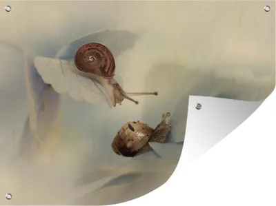 Produktbild von MuchoWow®