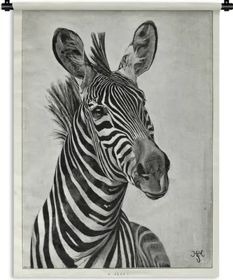 Produktbild von MuchoWow® Wandteppich Wandbehang Eine schwarz-weiße Illustration eines Zebras 60x80 cm Tapisserie Dekoration Wandtuch - Decke - Wandtücher - Wohne