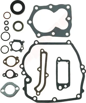 Obrázek produktu pro Těsnění pro Briggs & Stratton 15 ( 794307 )
