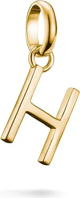 Produktbild von Thomas Sabo Charm Club Connect CC1214-413-39 Charm Anhänger
