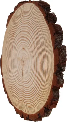 Produktbild von Holz Garten Trittstein 12 Zoll 1 Stück für Außenweg | Beige, für Selbstgemacht Weg und Garten, Robust gegen Wetter, Formstabil und Brucharm, Praktische Deko