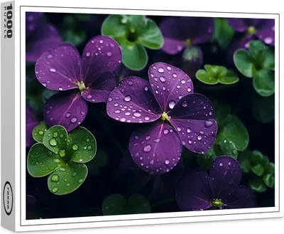 Image de puzzle raxxa Premium "Trèfle sous la pluie", 1000 pièces