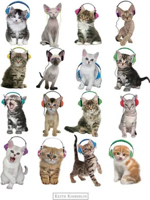 Productafbeelding van Keith Kimberlin - Mini-poster met afbeelding van kattenkoptelefoons