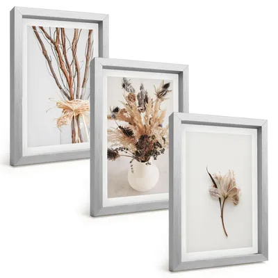 Produktbild von Bilder Set 3-teilig im silbergerahmten Rahmen – Wandbilder 3 Stück – gerahmte Poster für Wohnzimmer, Schlafzimmer und Flur – 20x30 cm – minimalistische Blumenzweige