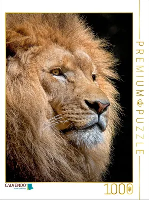 Produktbild von CALVENDO Puzzle Löwe | 1000 Teile Lege-Größe 64x48cm Foto-Puzzle für glückliche Stunden