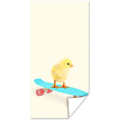 Produktbild von MuchoWow® Poster Küken - Gelb - Skateboard - Blau - Tiere 80x160 cm - Kinderzimmer