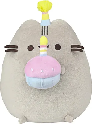 Zdjęcie produktu dla Aurora, Pusheen - Birthday Party Pusheen, ok. 24 cm