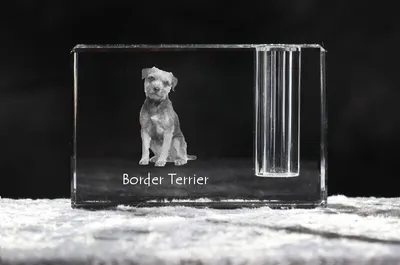 Produktbild von Border Terrier - Stifthalter, Kristallorganizer mit Hundefoto, einzigartige Schreibtischdekoration der Marke Art-Dog