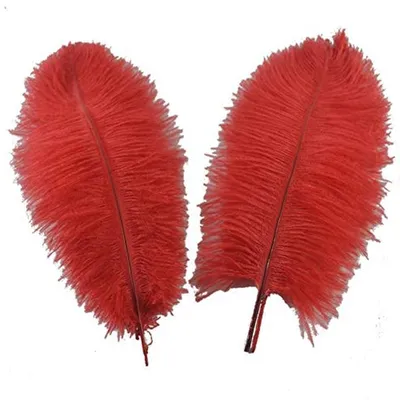 Productafbeelding van Sowder 5 stuks decoratieve struisvogelveren 40-45 cm (rood)