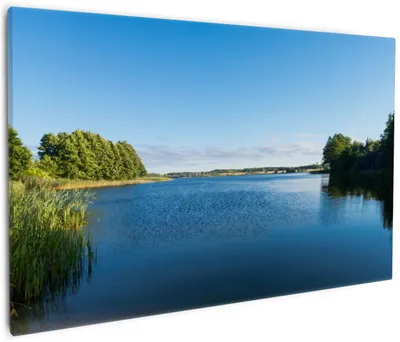 Produktbild von Wallario Premium Leinwandbild Malerischer See mit Schilf unter blauem Himmel in Größe 60 x 90 cm