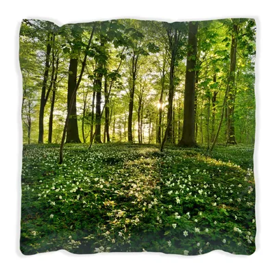 Produktbild von Wallario Premium Kissen, weiche Oberfläche, mit Motiv Waldanemonen und Sonnenstrahlen im Wald, Größe: 60 x 60 cm, mit weißer Rückseite