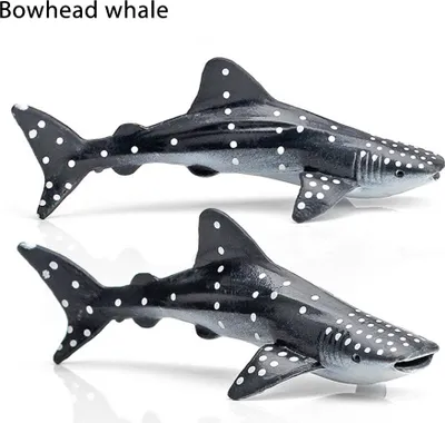 Immagine prodotto di 12 pezzi Set di modelli di animali marini Simulazione della vita oceanica Figure Giocattoli Collezione educativa per bambini Regalo Decorazione