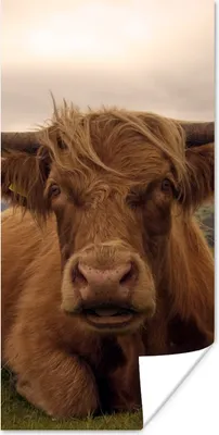 Produktbild von MuchoWow® Poster Schottischer Highlander - Tiere - Berg 20x40 cm - Plakat - Foto