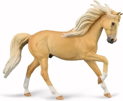 Produktbild von COLLECTA Andalusischer Hengst – 1:20