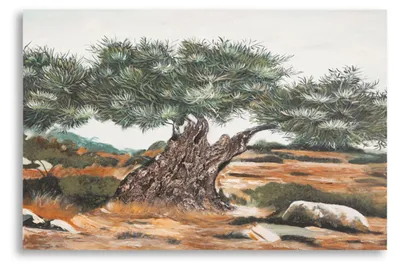 Image de Tableau mural Dipinto 120 x 80 x 3,8 cm Pin Canvas Multicolore