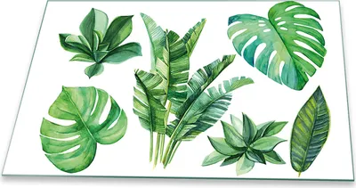Produktbild von Herdabdeckplatte Glaskeramikfeld Spritzschutz Glas Universal Deko 80x52 Blätter Grün