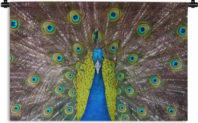 Produktbild von MuchoWow® Wandteppich Wandbehang Pfau - Federn - Augen 90x60 cm Tapisserie Dekoration Wandtuch - Wandskulpturen - Bildteppich