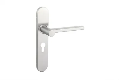 Immagine prodotto di Maniglia per porta Lavuzo Caserta in acciaio inox con piastra arrotondata PC55 - Per set