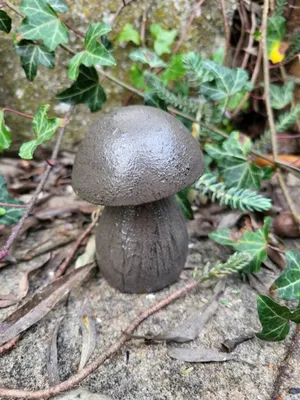 Produktbild von Gusseisen Steinpilz zum Stellen