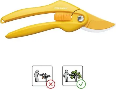 Produktbild von Schnitzeisen für Zweigdorn - 20 cm, Antischleifschicht, Kohlenstoffstahl, Stabile Handgriffe