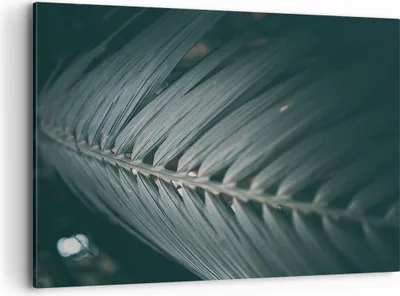 Produktbild von Bild auf Leinwand - Leinwandbild - Einteilig - Blatt Palme exotisch - 100x70cm - Wand Bild - Wanddeko - Wandbilder - Leinwanddruck - Bilder - Wanddekoration - Leinwand bilder - AA100x70-4907