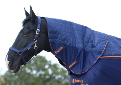 Image de Bucas Collier Therapy magnétique Navy/Orange L