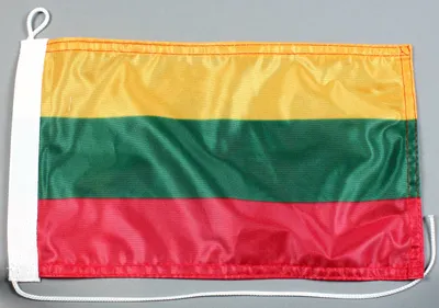 Produktbild von Bootsflagge : Litauen 30x20 cm Motorradflagge