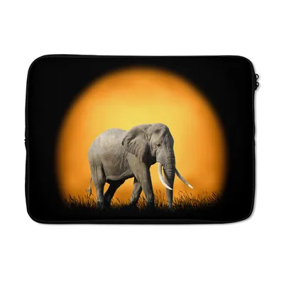 Produktbild von MuchoWow® Laptop Hülle 14 ZollElefant - Sonne - Gras Laptoptasche - Laptoptasche - Stoßsicher - Schutzhaube