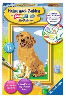 Image de Ravensburger 28511 Ravensburger Malen-nach-Zahlen Kleiner Golden Retriever