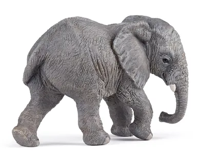 Produktbild von Papo Junger Afrikanischer Elefant, 222 g