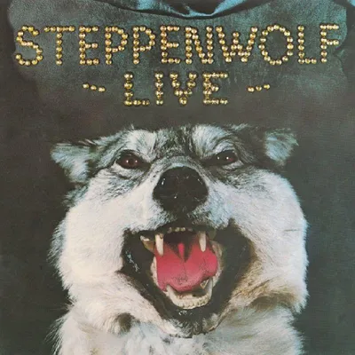 Obrázok produktu pre Steppenwolf: Live 1970 - BGO - (CD / Názov: H-P)