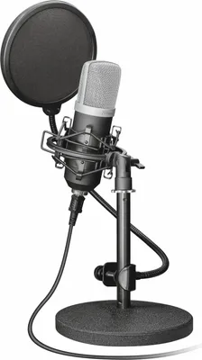 Immagine prodotto di Trust 21753 Microfono nero da studio