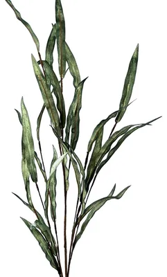 Immagine prodotto di Set DRW composto da 6 foglie artificiali realizzate in schiuma di EVA, plastica e carta verde, altezza 90 cm. Dimensioni: 90 cm