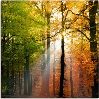 Produktbild von ARTland Leinwandbild Schöner Herbsttag 2 Größe: 50x50 cm