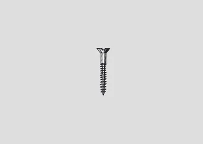 A single screw is shown against a plain background.