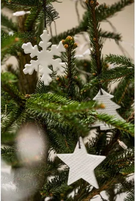 Immagine prodotto di Sagaform Ornamenti invernali per albero di Natale, 8 cm di diametro, 3 pezzi.